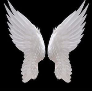 Meet your Posher, Sherry